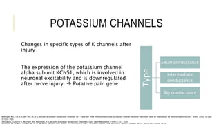 The Role of Ion Channels in Chronic Pain | PPTX