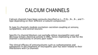 The Role of Ion Channels in Chronic Pain | PPTX