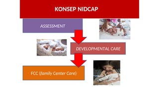 Nidcap Scale The Role of Neonatal Nurses in Developmental Care for Premature Infants ...