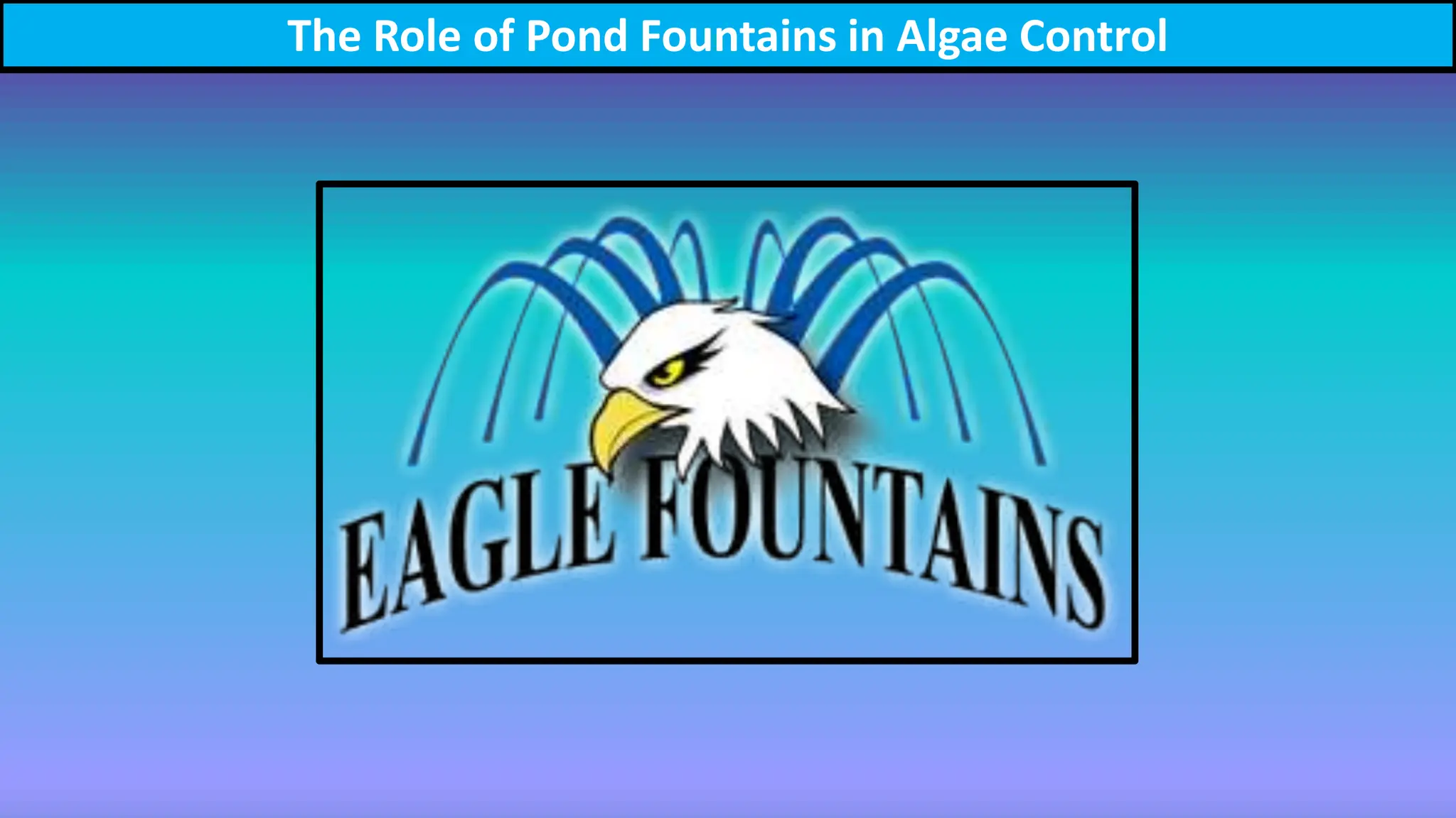 The Role of Pond Fountains in Algae Control.pptx