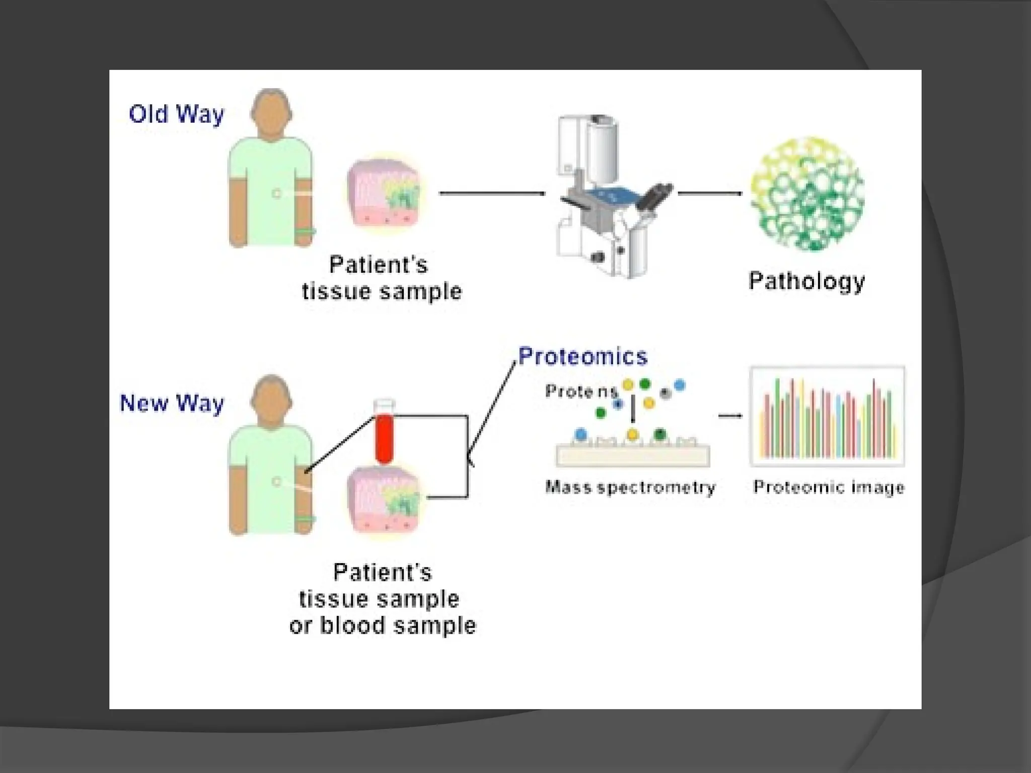 The Role Of Proteomics In Drug Discovery And Development (1).pptx