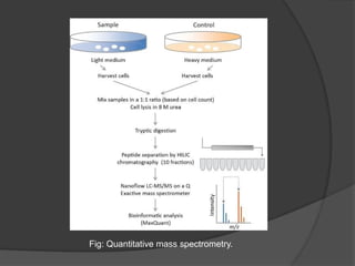 The Role Of Proteomics In Drug Discovery And Development (1).pptx