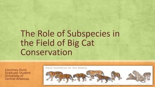 The Role of Subspecies in
the Field of Big Cat
Conservation
Courtney Dunn
Graduate Student
University of
Central Arkansas
 