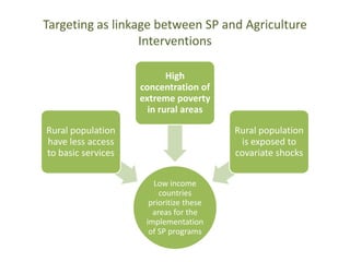 The role of targeting in social protection programmes what have we learned so far