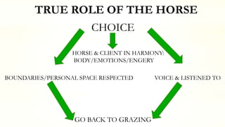 TRUE ROLE OF THE HORSE
CHOICE
HORSE & CLIENT IN HARMONY:
BODY/EMOTIONS/ENGERY
BOUNDARIES/PERSONAL SPACE RESPECTED VOICE & LISTENED TO
GO BACK TO GRAZING
 