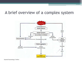 The role of thrombin in coagulation | PPTX