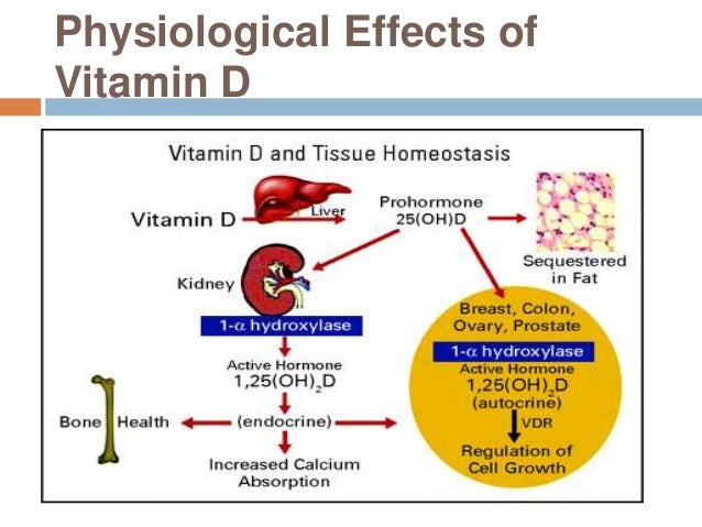 Vitamin D Calcitriol Side Effects