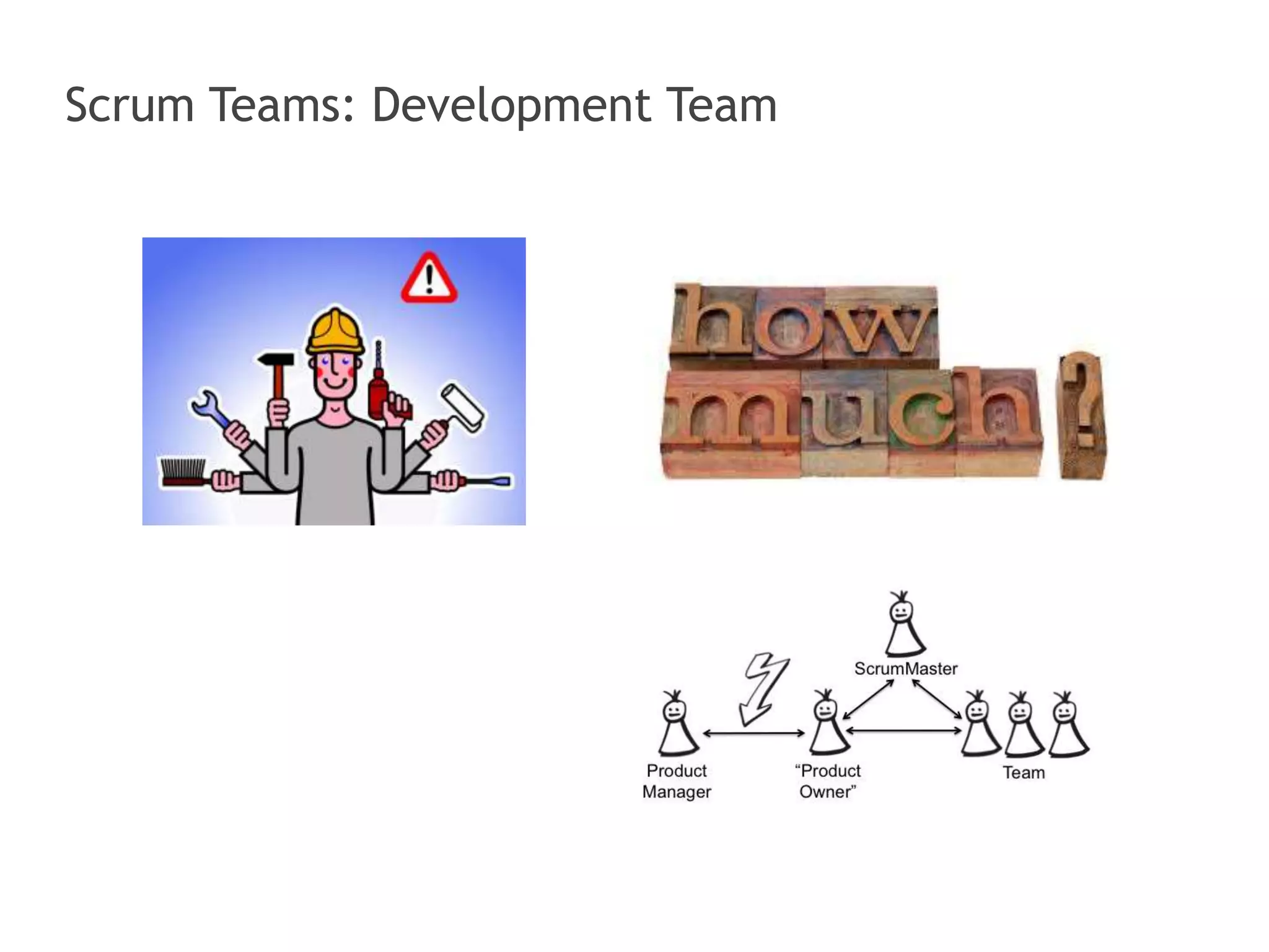 Scrum Teams: Development Team 
 