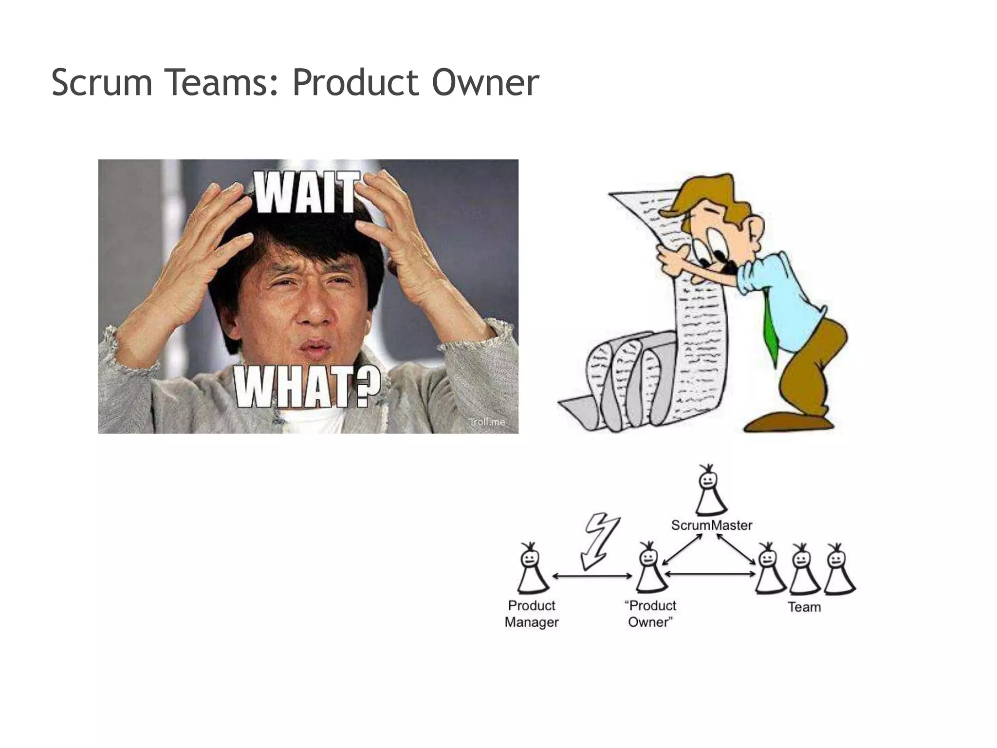 Scrum Teams: Product Owner 
 
