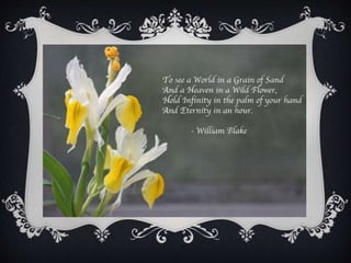 An introduction to "The romantic age"