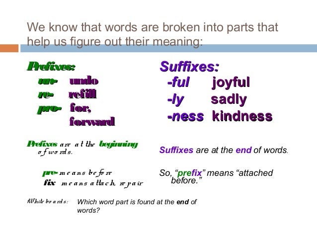 The roots of vocabulary