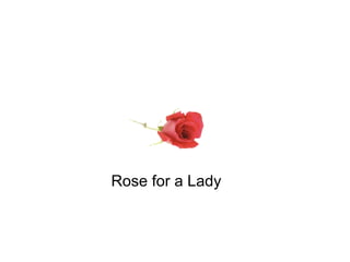 The Rose Rose for a Lady 