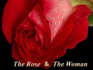 The Rose & The Woman 
