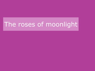 The roses of moonlight
 