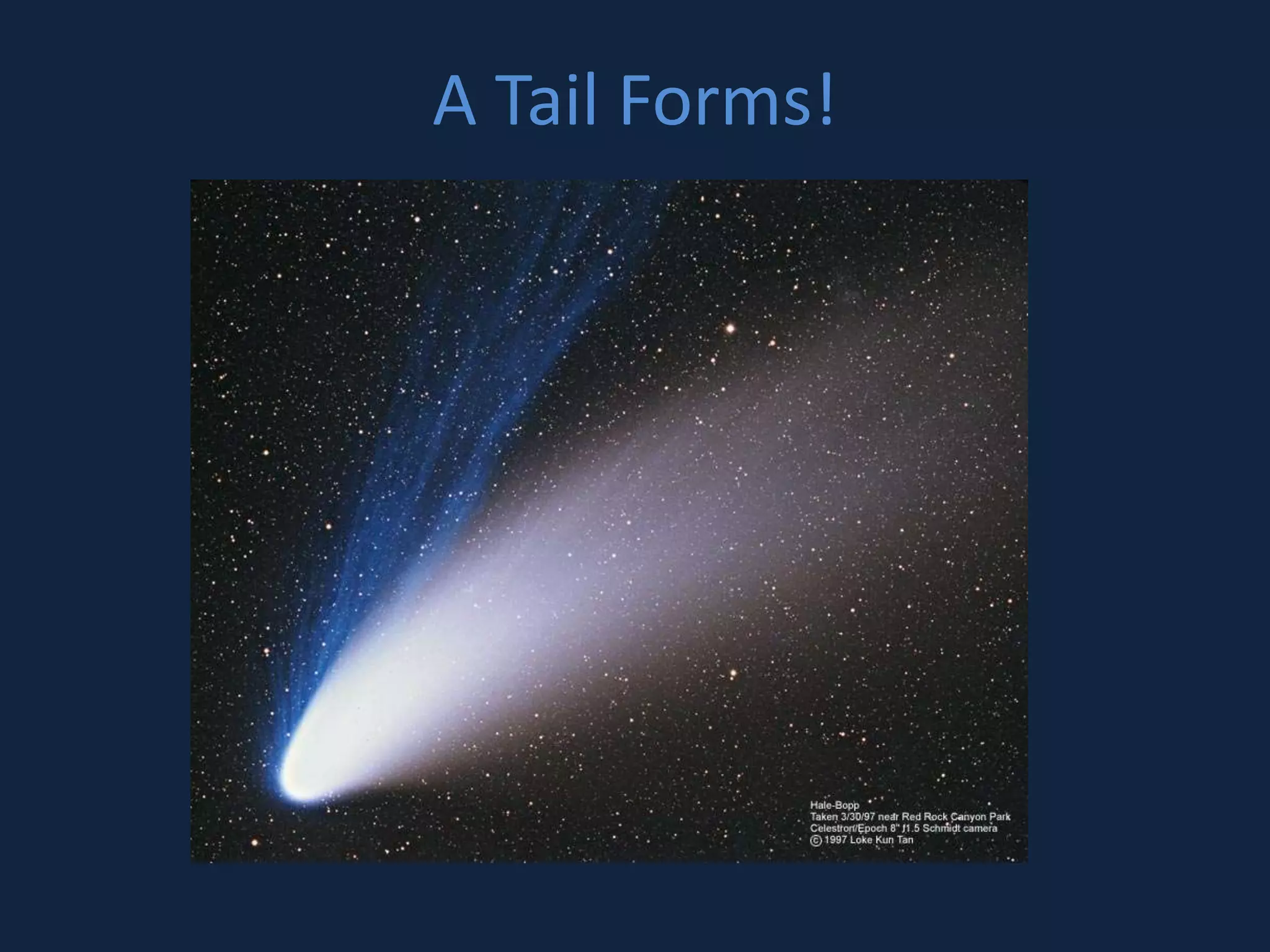 A Tail Forms! 
 