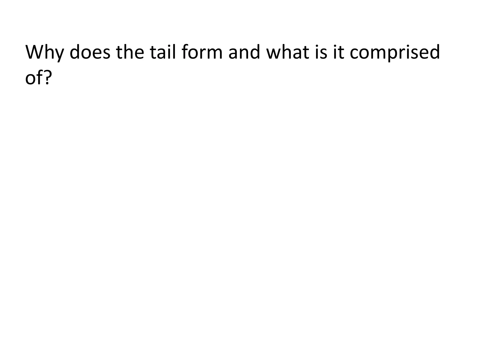 Why does the tail form and what is it comprised 
of? 
 