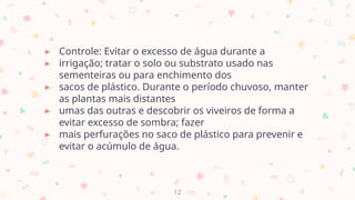 ▸ Controle: Evitar o excesso de água durante a
▸ irrigação; tratar o solo ou substrato usado nas
sementeiras ou para enchimento dos
▸ sacos de plástico. Durante o período chuvoso, manter
as plantas mais distantes
▸ umas das outras e descobrir os viveiros de forma a
evitar excesso de sombra; fazer
▸ mais perfurações no saco de plástico para prevenir e
evitar o acúmulo de água.
12
 