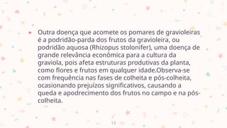 ▸ Outra doença que acomete os pomares de gravioleiras
é a podridão-parda dos frutos da gravioleira, ou
podridão aquosa (Rhizopus stolonifer), uma doença de
grande relevância econômica para a cultura da
graviola, pois afeta estruturas produtivas da planta,
como flores e frutos em qualquer idade.Observa-se
com frequência nas fases de colheita e pós-colheita,
ocasionando prejuízos significativos, causando a
queda e apodrecimento dos frutos no campo e na pós-
colheita.
13
 