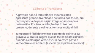 Colheita e Transporte
▸ A graviola não só tem colheita esparsa como
apresenta grande diversidade na forma dos frutos, em
conseqüência da polinização irregular associada à
heterostilia. Por isso, a seleção dos frutos por
tamanho, durante a colheita, toma-se muito dificil.
▸ Tampouco é fácil determinar o ponto de colheita da
graviola. A prática sugere que os frutos sejam colhidos
quando a coloração verde-escura da casca passa a
verde-clara e os acúleos (espécie de espinhos da casca)
16
 