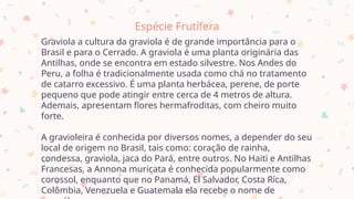 Espécie Frutífera
Graviola a cultura da graviola é de grande importância para o
Brasil e para o Cerrado. A graviola é uma planta originária das
Antilhas, onde se encontra em estado silvestre. Nos Andes do
Peru, a folha é tradicionalmente usada como chá no tratamento
de catarro excessivo. É uma planta herbácea, perene, de porte
pequeno que pode atingir entre cerca de 4 metros de altura.
Ademais, apresentam flores hermafroditas, com cheiro muito
forte.
A gravioleira é conhecida por diversos nomes, a depender do seu
local de origem no Brasil, tais como: coração de rainha,
condessa, graviola, jaca do Pará, entre outros. No Haiti e Antilhas
Francesas, a Annona muricata é conhecida popularmente como
corossol, enquanto que no Panamá, El Salvador, Costa Rica,
Colômbia, Venezuela e Guatemala ela recebe o nome de
3
 