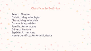 Classificação Botânica
Reino: Plantae
Divisão: Magnoliophyta
Classe: Magnoliopsida
Ordem: Magnoliales
Família: Annonaceae
Género: Annona
Espécie: A. muricata
Nome científico: Annona Muricata
4
 
