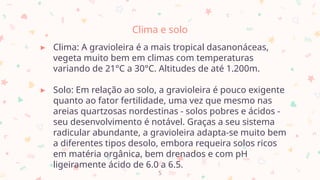 Clima e solo
▸ Clima: A gravioleira é a mais tropical dasanonáceas,
vegeta muito bem em climas com temperaturas
variando de 21°C a 30°C. Altitudes de até 1.200m.
▸ Solo: Em relação ao solo, a gravioleira é pouco exigente
quanto ao fator fertilidade, uma vez que mesmo nas
areias quartzosas nordestinas - solos pobres e ácidos -
seu desenvolvimento é notável. Graças a seu sistema
radicular abundante, a gravioleira adapta-se muito bem
a diferentes tipos desolo, embora requeira solos ricos
em matéria orgânica, bem drenados e com pH
ligeiramente ácido de 6.0 a 6.5.
5
 