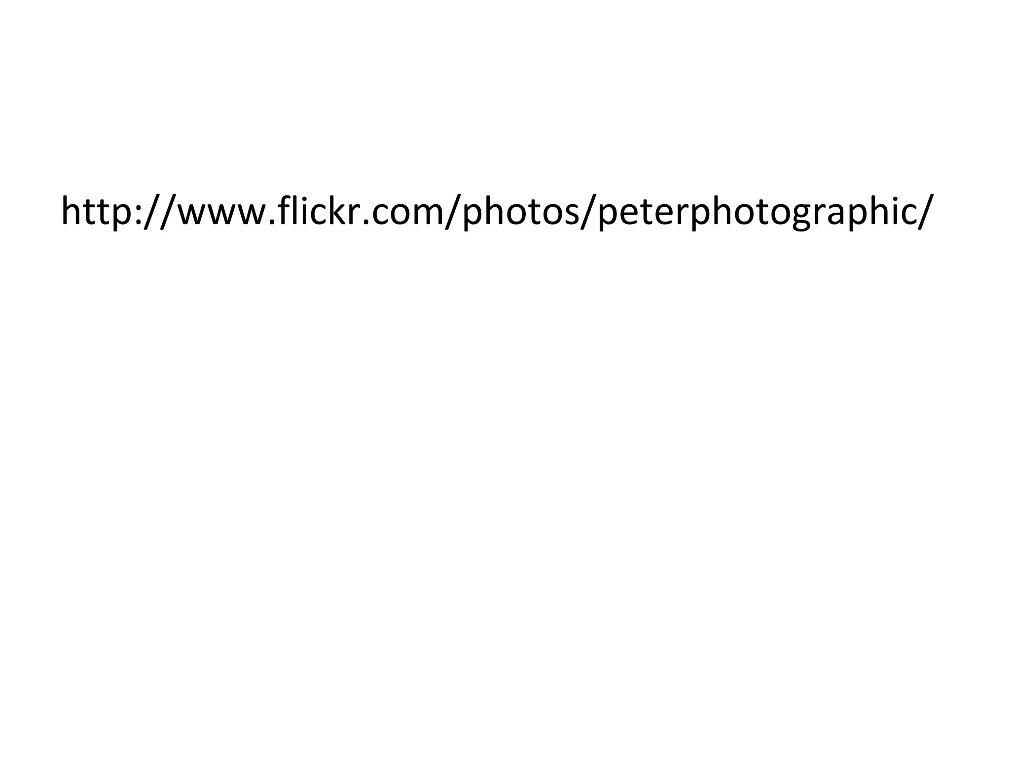 http://www.flickr.com/photos/peterphotographic/
 