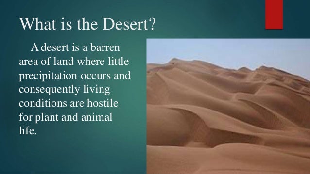 Image result for sahara desert facts