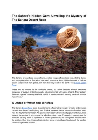 The Sahara's Hidden Gem-Unveiling the Mystery of The Sahara Desert Rose
