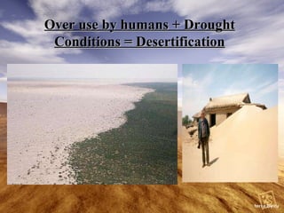 Over use by humans + Drought Conditions = Desertification