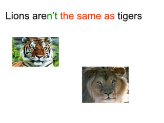 Lions are n’t  the same as  tigers 