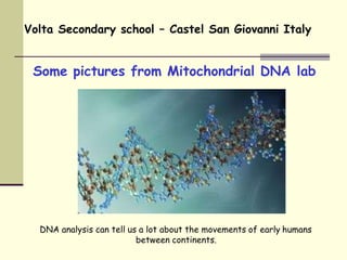 Some pictures from Mitochondrial DNA lab
Volta Secondary school – Castel San Giovanni Italy
DNA analysis can tell us a lot about the movements of early humans
between continents.
 
