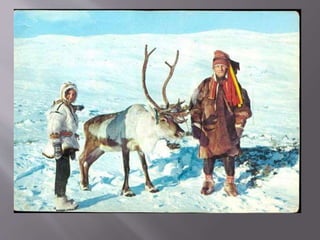The sami people