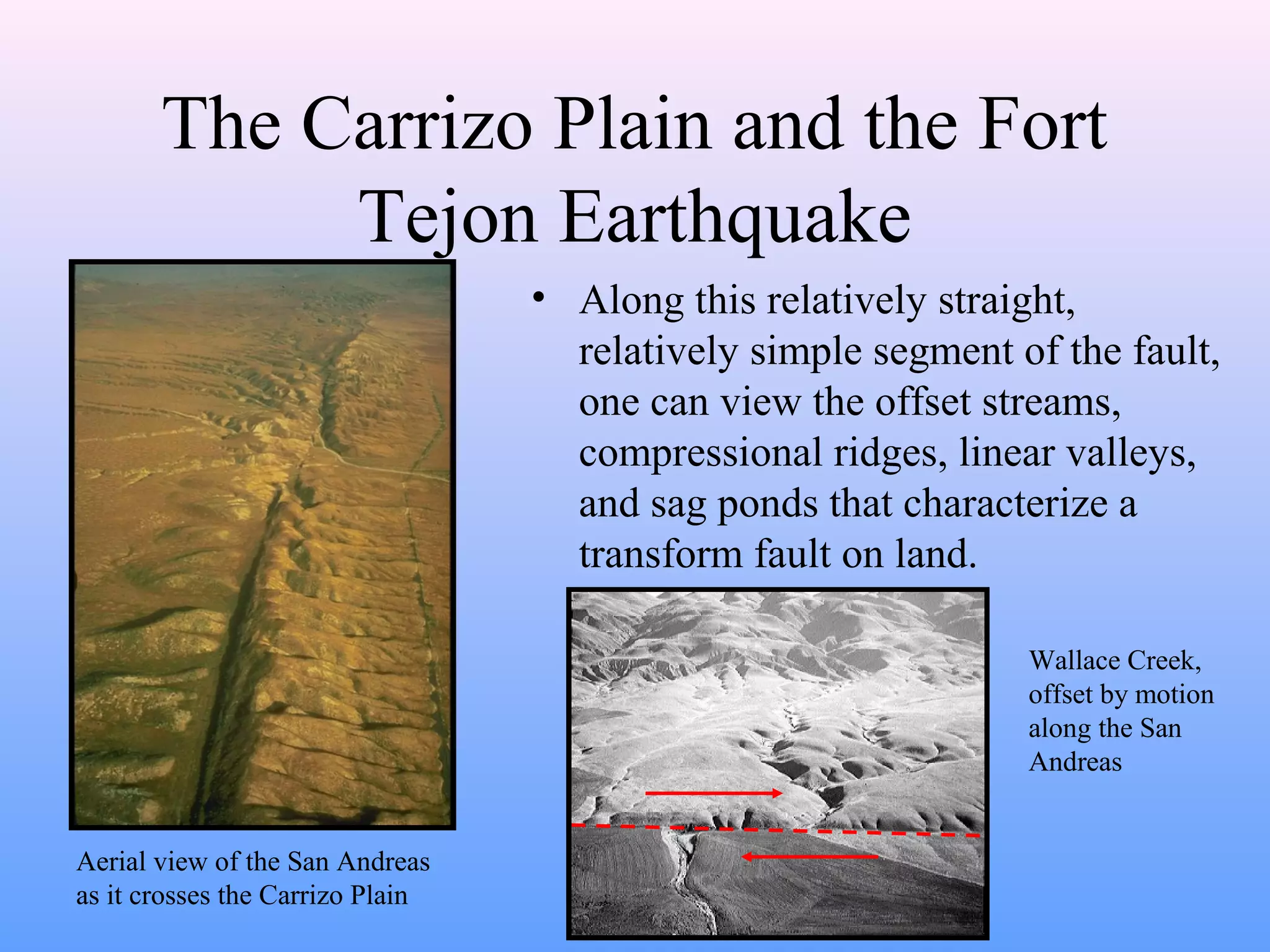 The Carrizo Plain and the Fort 
Tejon Earthquake 
• Along this relatively straight, 
relatively simple segment of the fault, 
one can view the offset streams, 
compressional ridges, linear valleys, 
and sag ponds that characterize a 
transform fault on land. 
Aerial view of the San Andreas 
as it crosses the Carrizo Plain 
Wallace Creek, 
offset by motion 
along the San 
Andreas 
 