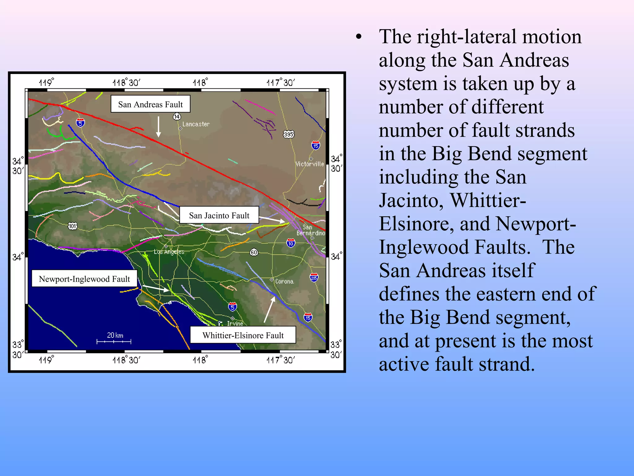 • The right-lateral motion 
along the San Andreas 
system is taken up by a 
number of different 
number of fault strands 
in the Big Bend segment 
including the San 
Jacinto, Whittier- 
Elsinore, and Newport- 
Inglewood Faults. The 
San Andreas itself 
defines the eastern end of 
the Big Bend segment, 
and at present is the most 
active fault strand. 
San Andreas Fault 
San Jacinto Fault 
Newport-Inglewood Fault 
Whittier-Elsinore Fault 
 