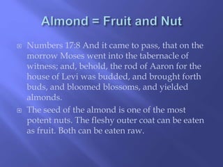  Numbers 17:8 And it came to pass, that on the 
morrow Moses went into the tabernacle of 
witness; and, behold, the rod of Aaron for the 
house of Levi was budded, and brought forth 
buds, and bloomed blossoms, and yielded 
almonds. 
 The seed of the almond is one of the most 
potent nuts. The fleshy outer coat can be eaten 
as fruit. Both can be eaten raw. 
 