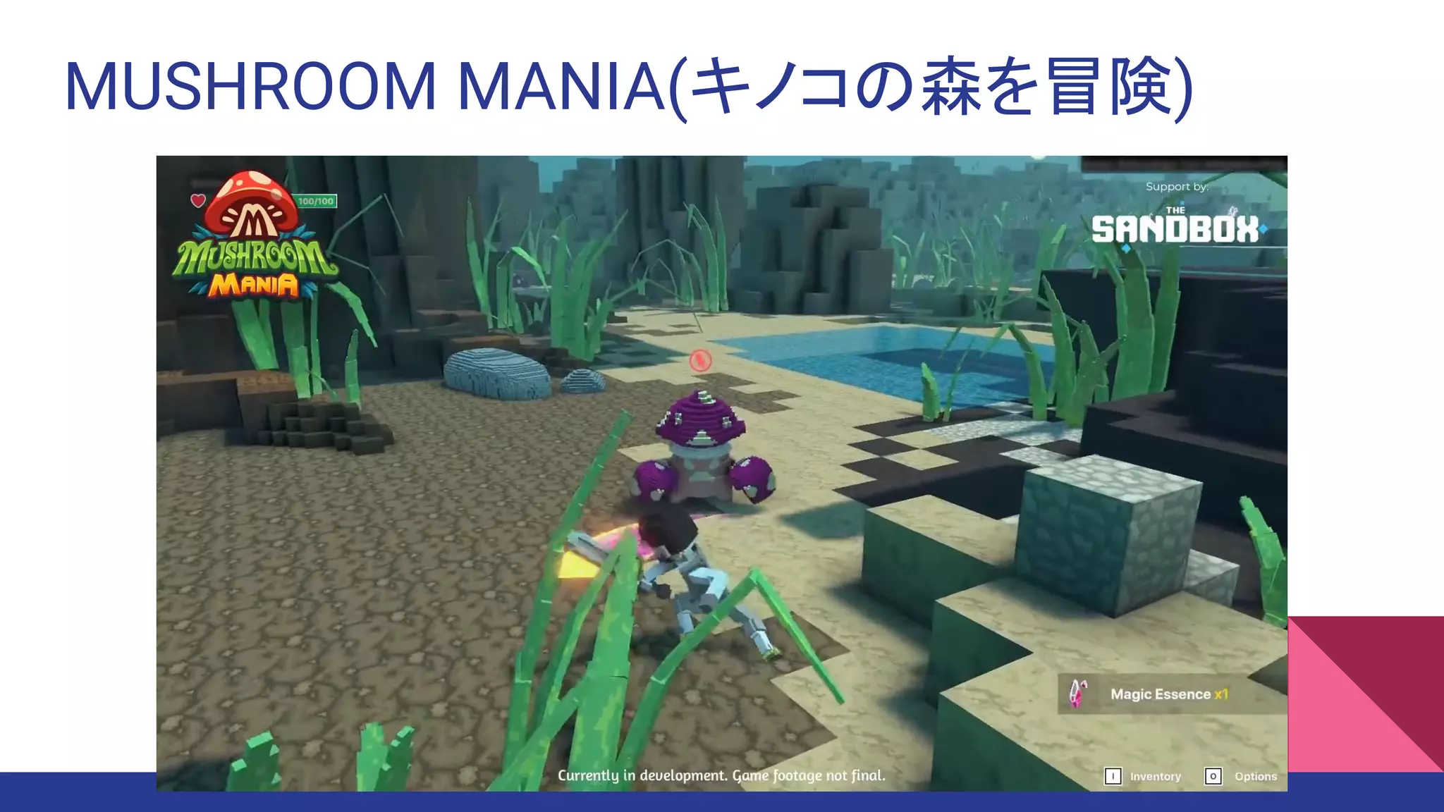 MUSHROOM MANIA(キノコの森を冒険)
 