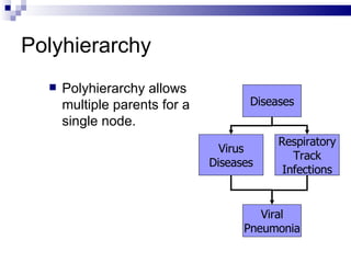 Polyhierarchy Polyhierarchy allows multiple parents for a single node. Diseases Respiratory Track Infections Viral Pneumonia Virus Diseases 