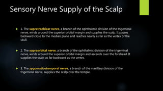 Sensory Nerve Supply of the Scalp
 1. The supratrochlear nerve, a branch of the ophthalmic division of the trigeminal
nerve, winds around the superior orbital margin and supplies the scalp. It passes
backward close to the median plane and reaches nearly as far as the vertex of the
skull.
 2. The supraorbital nerve, a branch of the ophthalmic division of the trigeminal
nerve, winds around the superior orbital margin and ascends over the forehead. It
supplies the scalp as far backward as the vertex.
 3. The zygomaticotemporal nerve, a branch of the maxillary division of the
trigeminal nerve, supplies the scalp over the temple.
 