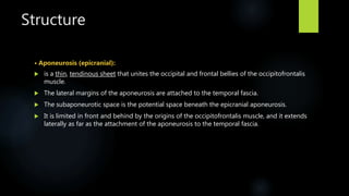 Structure
• Aponeurosis (epicranial):
 is a thin, tendinous sheet that unites the occipital and frontal bellies of the occipitofrontalis
muscle.
 The lateral margins of the aponeurosis are attached to the temporal fascia.
 The subaponeurotic space is the potential space beneath the epicranial aponeurosis.
 It is limited in front and behind by the origins of the occipitofrontalis muscle, and it extends
laterally as far as the attachment of the aponeurosis to the temporal fascia.
 