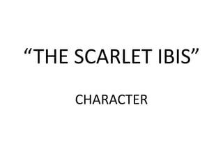 “THE SCARLET IBIS” 
CHARACTER 
 