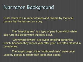 Narrator BackgroundNarrator Background
Hurst refers to a number of trees and flowers by the local
names that he learned as a boy.
The “bleeding tree” is a type of pine from which white
sap runs like blood when the bark is cut.
“Graveyard flowers” are sweet smelling gardenias,
which, because they bloom year after year, are often planted in
cemeteries.
The frayed twigs of the “toothbrush tree” were once
used by people to clean their teeth after eating.
 