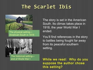 The story is set in the American
South. Its climax takes place in
1918, the year World War I
ended.
You’ll find references in the story
to battles being fought far away
from its peaceful southern
setting.
While we read: Why do you
suppose the author chose
this setting?
The Scarlet IbisThe Scarlet Ibis
The physical setting—
American South in 1918
The historical setting—
end of World War I
 