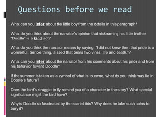 Questions before we read
What can you infer about the little boy from the details in this paragraph?
 
What do you think about the narrator’s opinion that nicknaming his little brother
“Doodle” is a kind act?
What do you think the narrator means by saying, “I did not know then that pride is a
wonderful, terrible thing, a seed that bears two vines, life and death.”?
 
What can you infer about the narrator from his comments about his pride and from
his behavior toward Doodle?
 
If the summer is taken as a symbol of what is to come, what do you think may lie in
Doodle’s future?
 
Does the bird’s struggle to fly remind you of a character in the story? What special
significance might the bird have?  
 
Why is Doodle so fascinated by the scarlet ibis? Why does he take such pains to
bury it?  
 