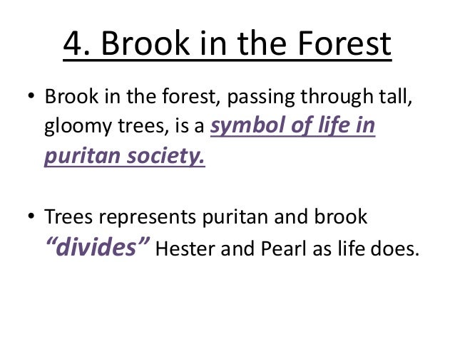 The Scarlet Letter themes Symbols 
