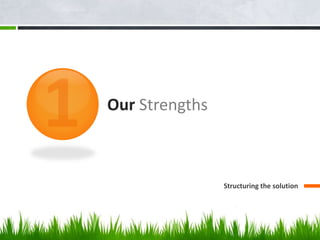 Our Strengths
Structuring the solution
 