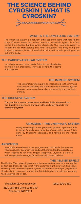 The Science Behind Cyroskin  What is Cyroskin.pdf