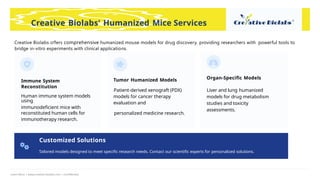 Learn More | www.creative-biolabs.com | Confidential
Creative Biolabs o ers
ﬀ comprehensive humanized mouse models for drug discovery, providing researchers with powerful tools to
bridge in-vitro experiments with clinical applications.
Immune System
Reconstitution
Human immune system models
using
immunodeﬁcient mice with
reconstituted human cells for
immunotherapy research.
Tumor Humanized Models
Patient-derived xenograft (PDX)
models for cancer therapy
evaluation and
personalized medicine research.
Organ-Speciﬁc Models
Liver and lung humanized
models for drug metabolism
studies and toxicity
assessments.
Creative Biolabs' Humanized Mice Services
Customized Solutions
Tailored models designed to meet speciﬁc research needs. Contact our scientiﬁc experts for personalized solutions.
 