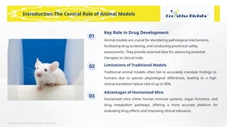 Learn More | www.creative-biolabs.com | Confidential
Key Role in Drug Development
Animal models are crucial for elucidating pathological mechanisms,
facilitating drug screening, and conducting preclinical safety
assessments. They provide essential data for advancing potential
therapies to clinical trials.
Limitations of Traditional Models
Traditional animal models often fail to accurately translate findings to
humans due to species physiological differences, leading to a high
clinical translation failure rate of up to 90%.
Advantages of Humanized Mice
Humanized mice mimic human immune systems, organ functions, and
drug metabolism pathways, offering a more accurate platform for
evaluating drug effects and improving clinical relevance.
01
02
03
Introduction-The Central Role of Animal Models
 