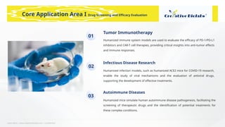 Learn More | www.creative-biolabs.com | Confidential
Core Application Area I Drug Screening and Efficacy Evaluation
Tumor Immunotherapy
Humanized immune system models are used to evaluate the efficacy of PD-1/PD-L1
inhibitors and CAR-T cell therapies, providing critical insights into anti-tumor effects
and immune responses.
Infectious Disease Research
Humanized infection models, such as humanized ACE2 mice for COVID-19 research,
enable the study of viral mechanisms and the evaluation of antiviral drugs,
supporting the development of effective treatments.
Autoimmune Diseases
Humanized mice simulate human autoimmune disease pathogenesis, facilitating the
screening of therapeutic drugs and the identification of potential treatments for
these complex conditions.
01
02
03
 